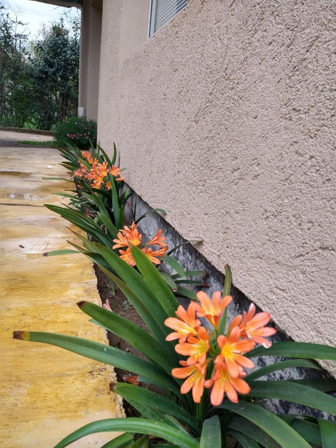 Orange Apartment Rio Cuarto Ngoại thất bức ảnh